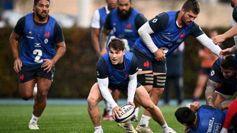 the France team has “better players than some Blacks in certain positions” and “that can make the difference”, assures Guy Accoceberry