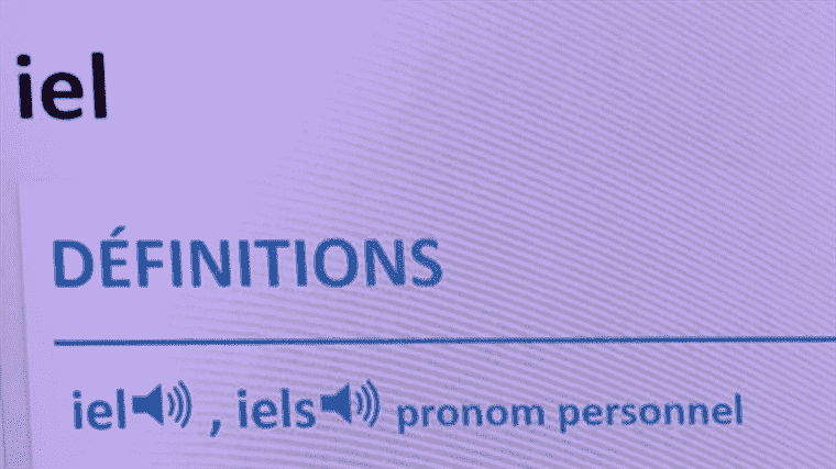 the addition of the pronoun “iel” is debated