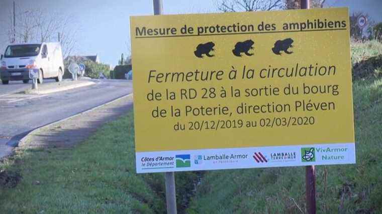 the “frog route” permanently closed to traffic to protect amphibians