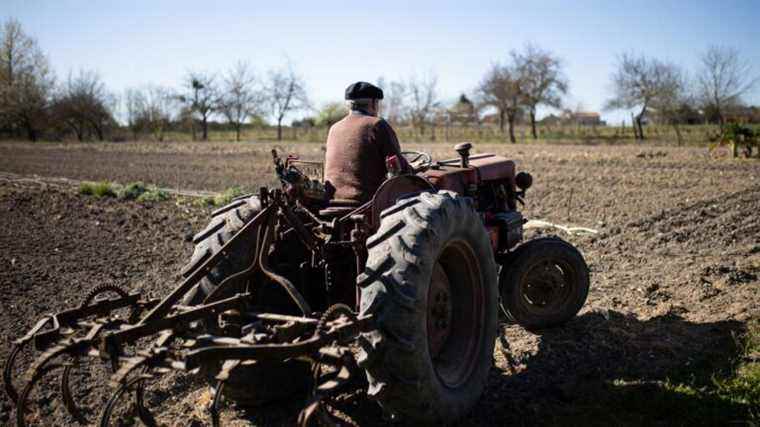 the revaluation of small agricultural pensions will not be enough to ensure the future of the profession, fears a farmer