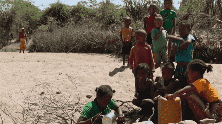 the south of the island facing the worst famine in its history