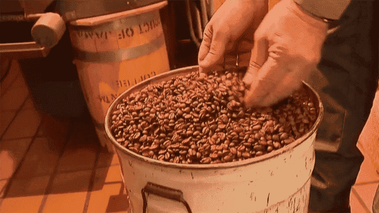 the success of coffee beans