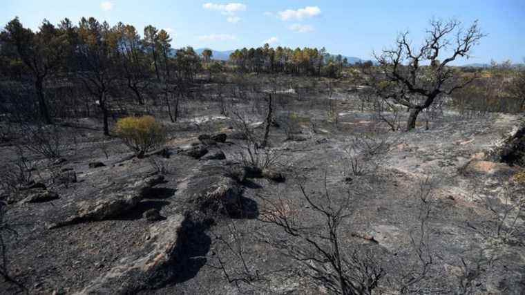 third a body discovered but not yet identified four months after the fires