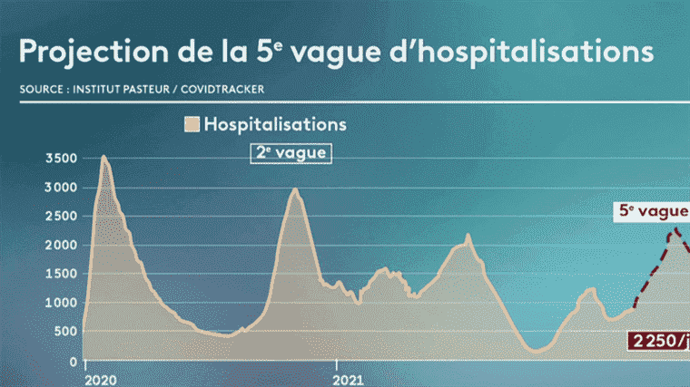 what does the Institut Pasteur say about the fifth wave?