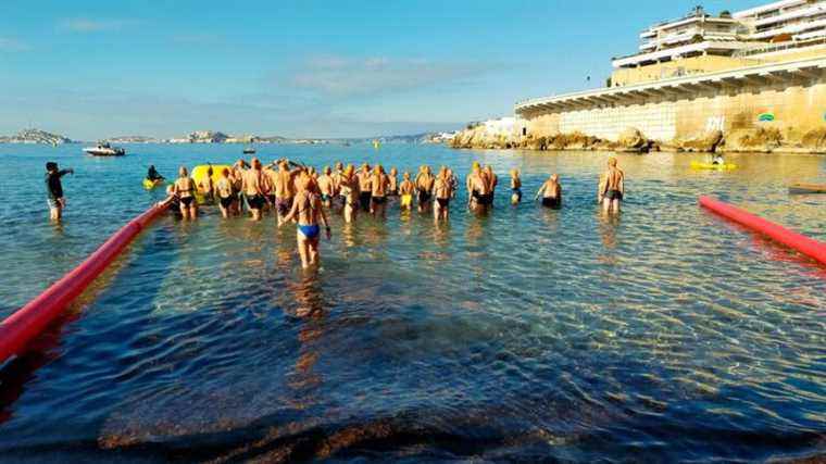 180 swimmers jump into the water in Marseille for the crossing of the Corniche