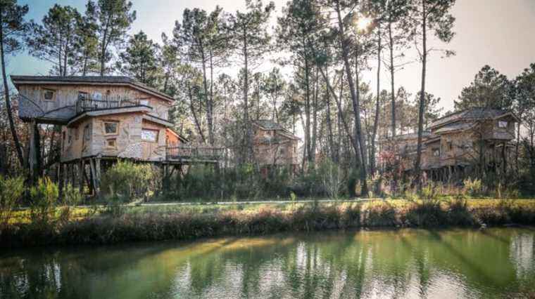 A stay at Center Parcs Domaine du Bois aux Daims to be won on France Bleu Poitou!