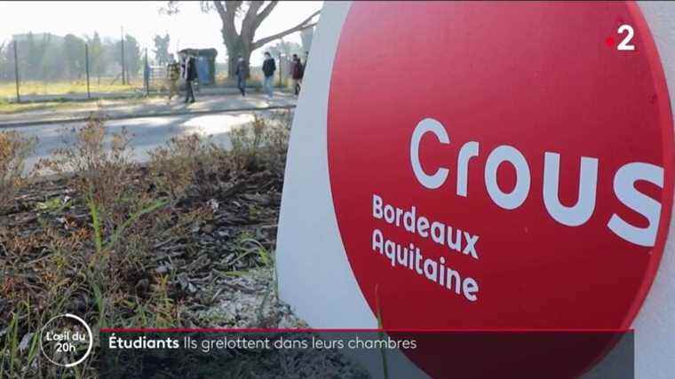 “Add a sweater”, Crous de Bordeaux’s response to students without heating