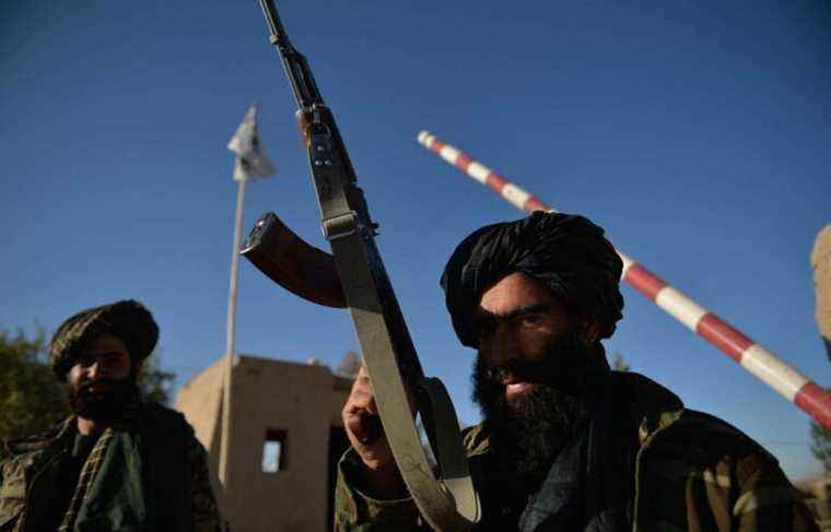 Afghanistan: Taliban deny accusations of “summary executions” of former members of Afghan security forces