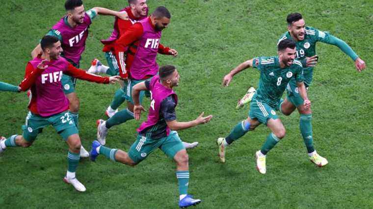 the Fennecs win the Arab Cup for the first time in their history