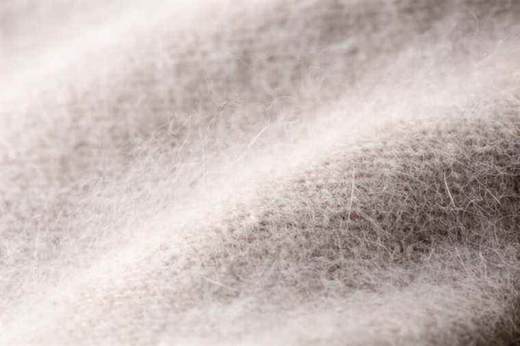 Armani gives up angora wool