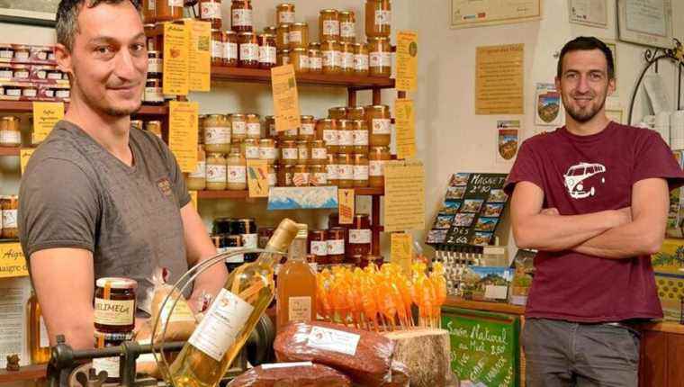 At La Ruche, local honeys and artisanal honey products in Castelnou