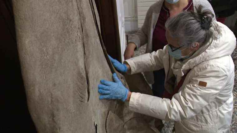 At the La Rochelle Natural History Museum, tours designed for the visually impaired