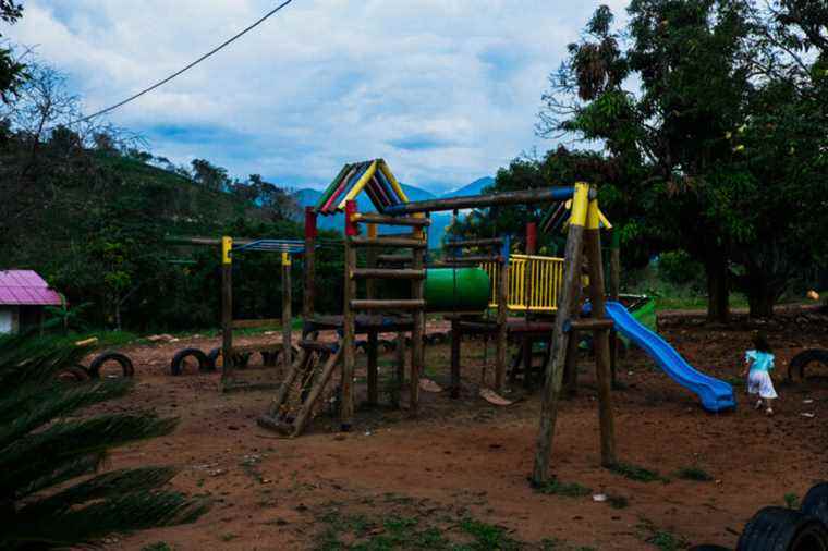 Baby boom among ex-FARC in Colombia