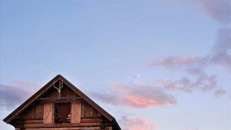 “Barn”, the new album of Neil Young recorded under the full moon