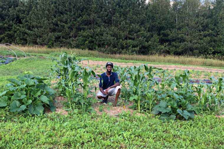 Black food solidarity |  Press