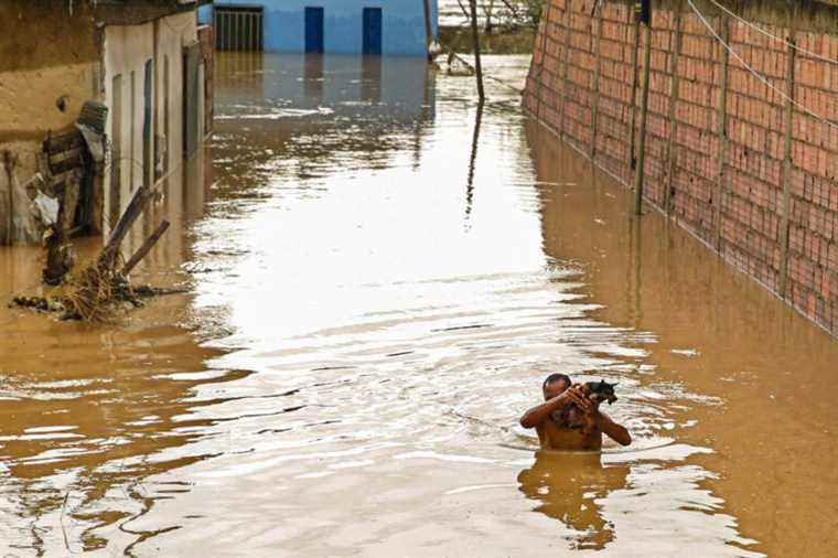 Brazil |  Flood toll rises to 20 dead, 63,000 displaced