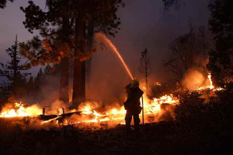 California wildfire |  A father and his son arrested