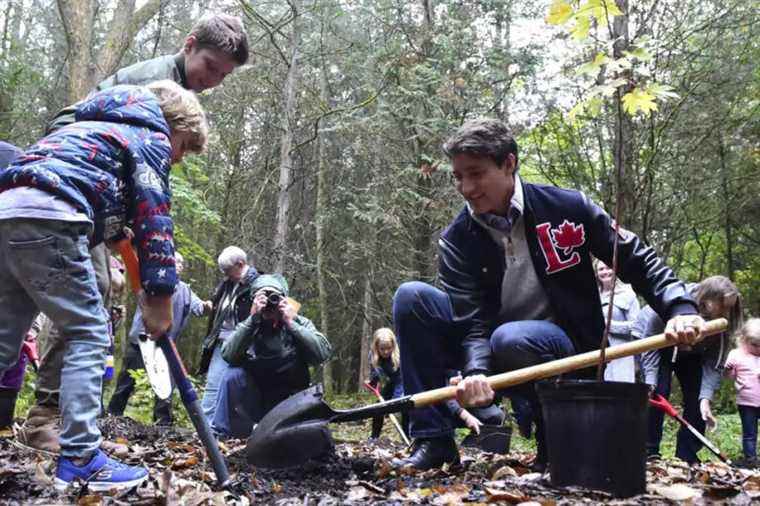 Canada to speed up tree planting