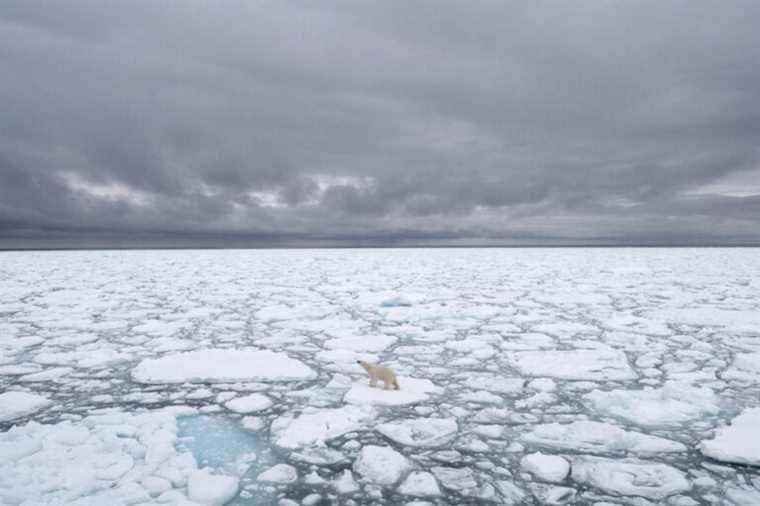 Climate change |  The two poles in the front row