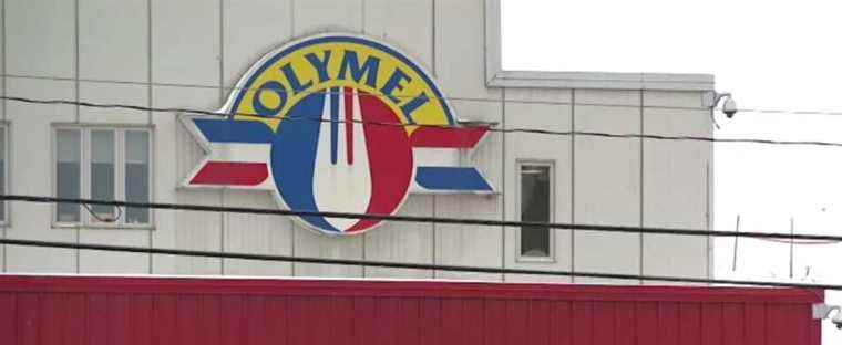 Conflict at Olymel: the consequences are still being felt on pork producers