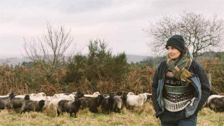 Converted into agriculture, they test themselves in Finistère before settling permanently