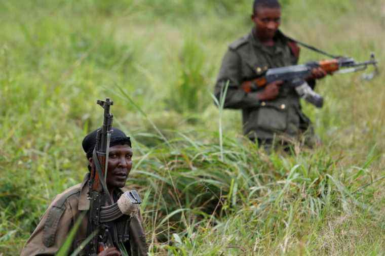 Democratic Republic of the Congo |  With Kinshasa agreement, Uganda attacks ADF jihadists