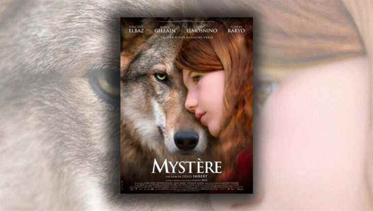 Denis Imbert’s “Mystery”, a film inspired by a true story