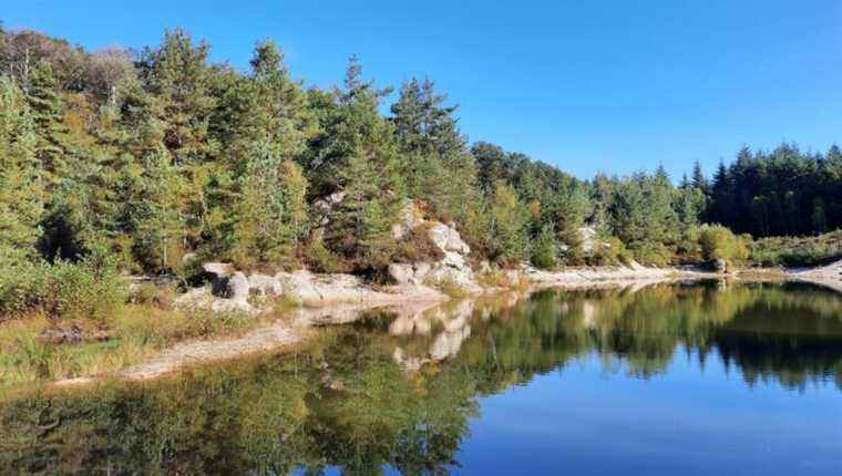 Discovering the Carrière de la Bosse with CEN Allier