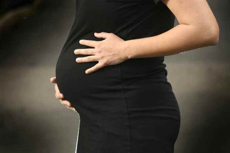 Family law reform |  Pregnancy before becoming a surrogate mother, argues the FMSQ