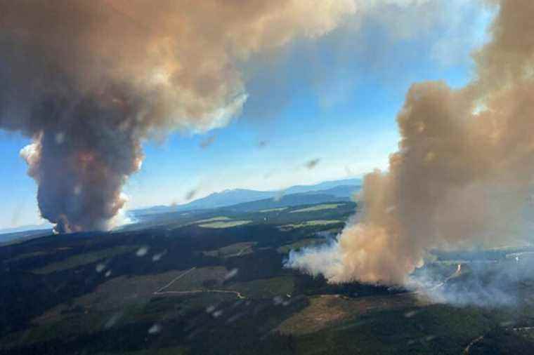 Fight against climate change |  Young Quebecers will ask the Supreme Court to intervene