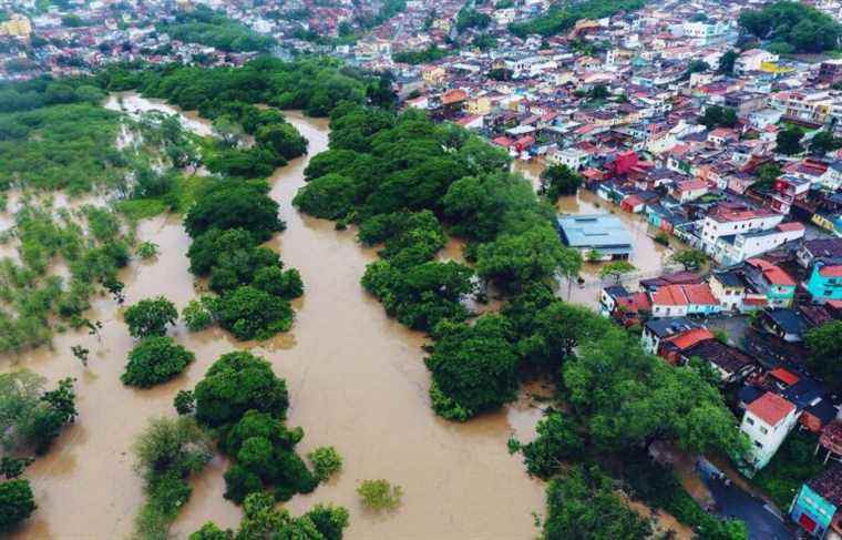 Floods in Brazil: “worst disaster in the history of Bahia”