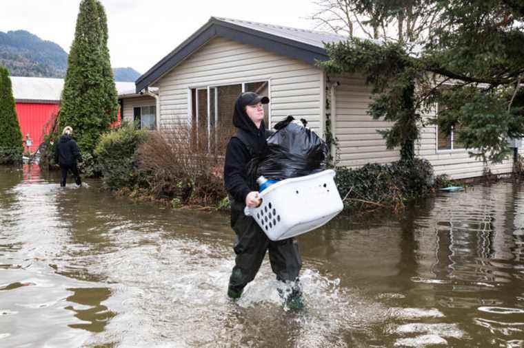 Floods in British Columbia |  The big clean-up has begun