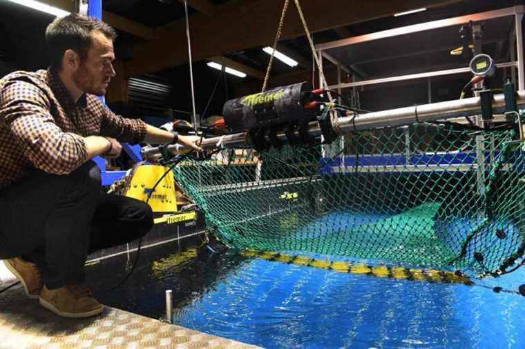 France |  Smart trawls to reduce unnecessary catches