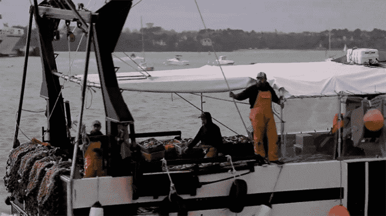 French fishermen resigned to the situation