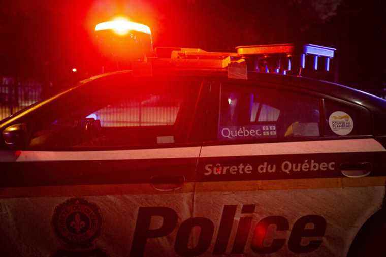 Château-Richer |  79-year-old man dies after falling tree