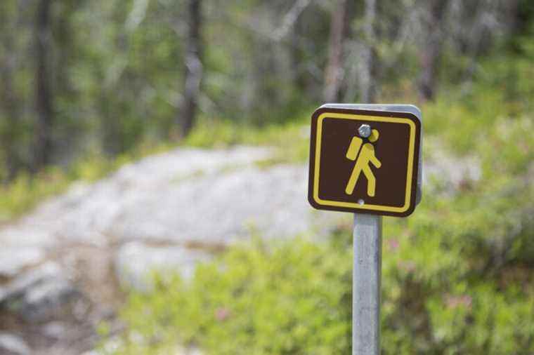 Hiking, more popular than ever