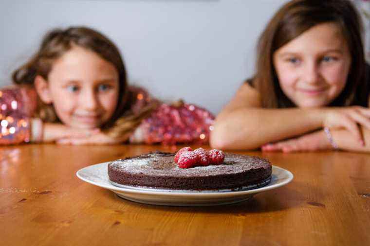 Holiday cooks |  Decadent Chocolate Cake