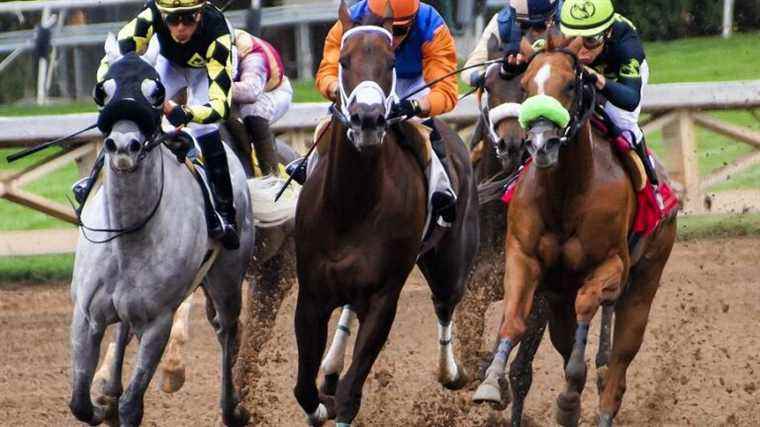 Horse predictions for Monday, December 27