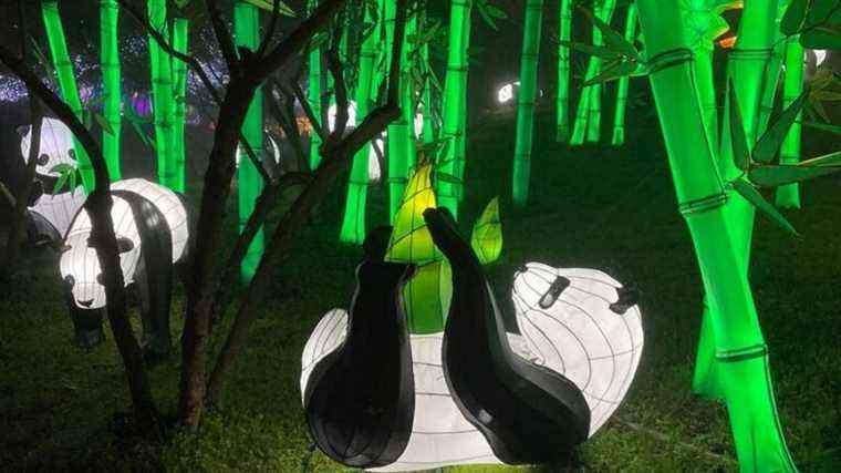 IN IMAGES – Lantern Festival: 2,500 giant installations light up at Parc du Ritouret, in Blagnac