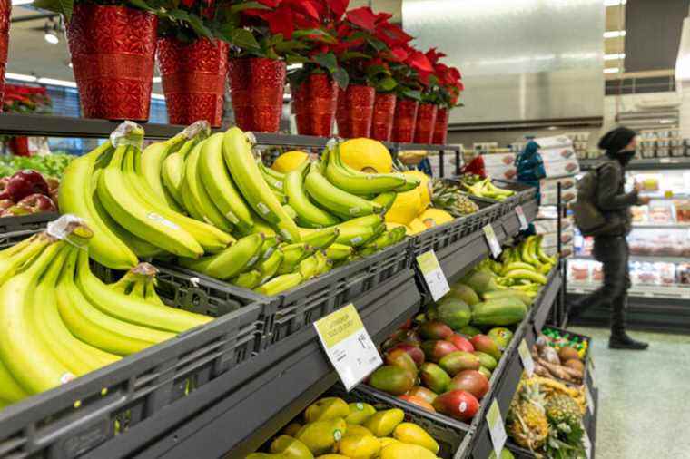 Imported fruits and vegetables |  Prices are likely to rise