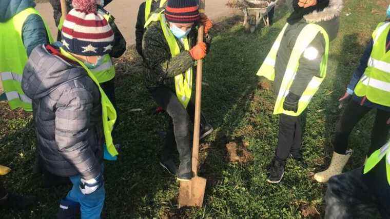 “It’s a gesture for the planet”, schoolchildren plant trees at a farmer’s house