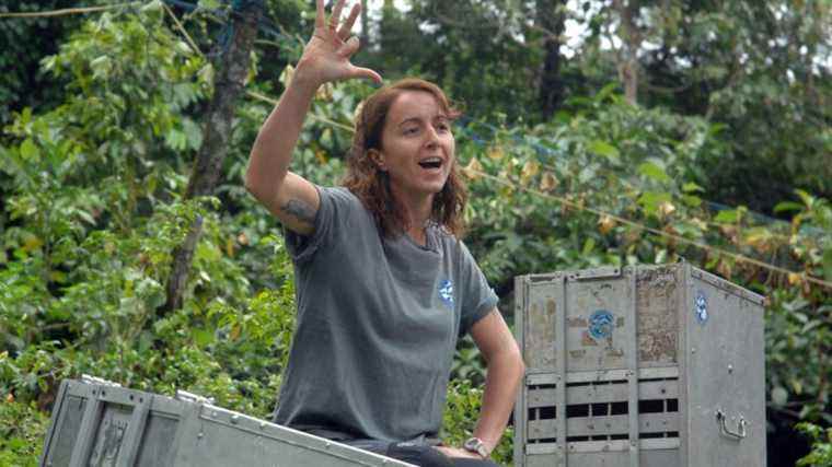 Karmele Llano, the Spanish veterinarian who dedicates her life to orangutans, just received an award