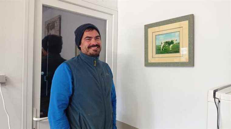 Matthieu Virfolet, farmer thanks to his grandparents, organizes a transhumance in Mayenne every year