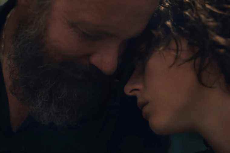 Peter Sarsgaard in The Lost Daughter |  Between moral support and object of desire