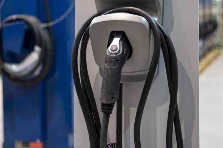 Purchases of electric vehicles |  Canada ready to align its incentives with those of the United States