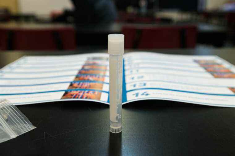 Rapid tests distributed in pharmacies from Monday