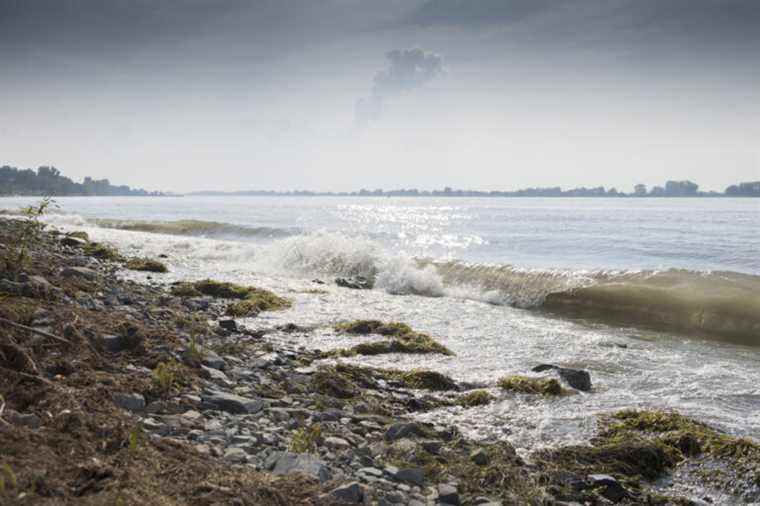 Rising waters |  Experts ask for better planning of shoreline protection