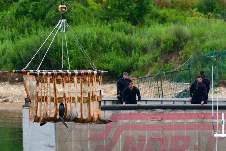 Russia closes notorious whale ponds