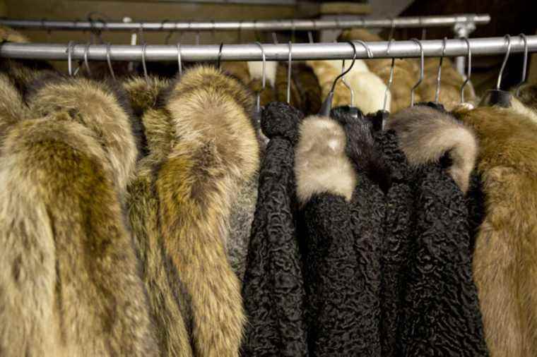 Elle magazine excludes animal fur