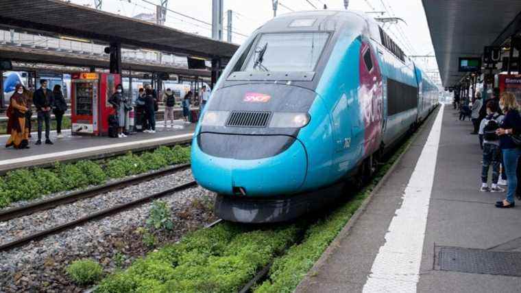 SNCF confirms the end in 2022 of the use of glyphosate to weed the tracks